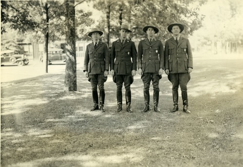 NATURALIST FORCE UNDER TREES