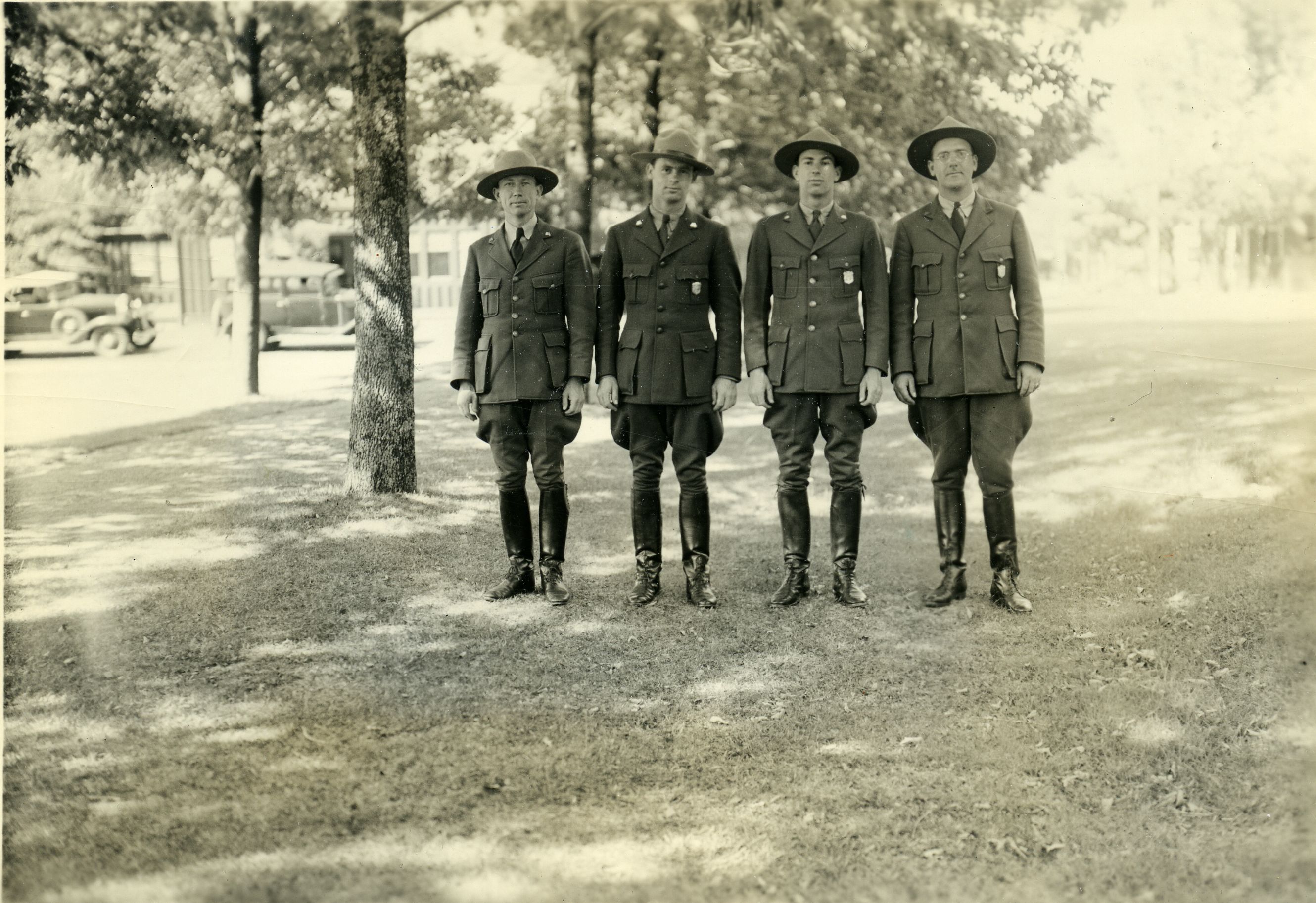 NATURALIST FORCE UNDER TREES