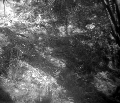 BW Photo of a rock slide in the Grotto area.
