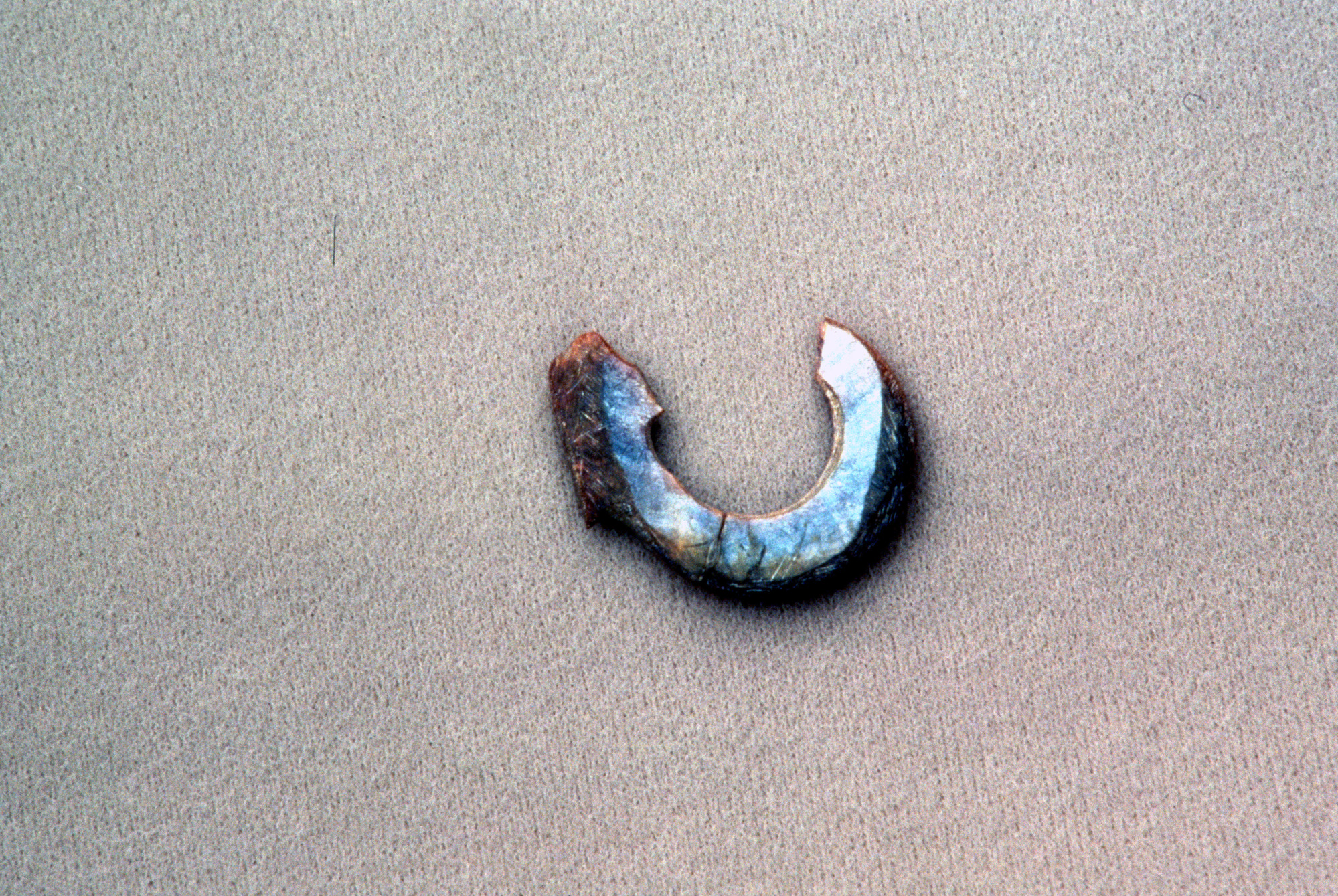 Abalone Fish Hook Artifact