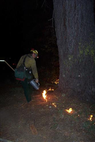 Sunset prescribed burn in Grant Grove, Sequoia and Kings Canyon National Parks, fall 2002