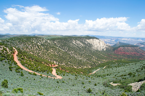 In a landscape of rolling green sage brush and multicolored geology, the unpaved Echo Park Road snakes down through the canyons. It's easily visible thanks to its red clay soils.