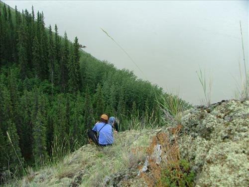 11 Yukon-Charley Rivers National Preserve Peregrine Falcon Survey July 2006
