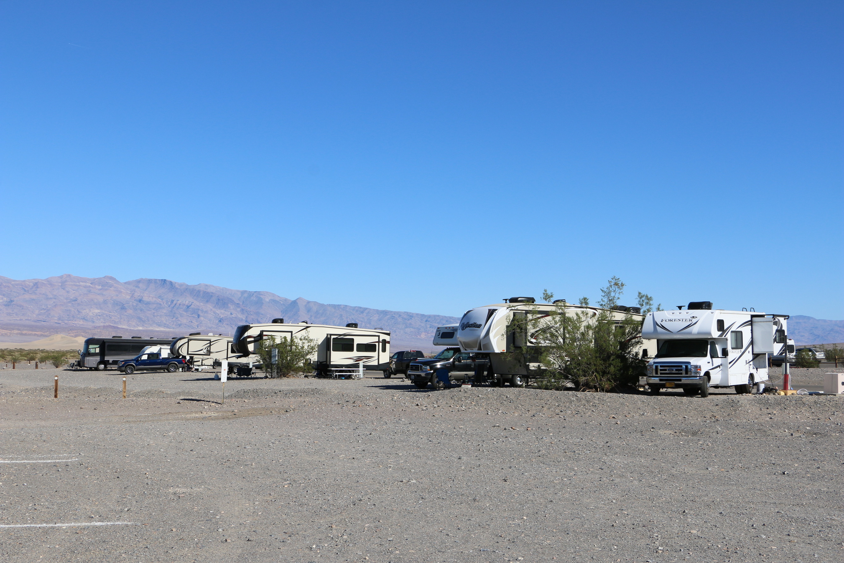 Sunset Campground Campsite. 4 Large RVS parked on a slightly uneven gravel lot with mesquite bushes sparsely in between them. 