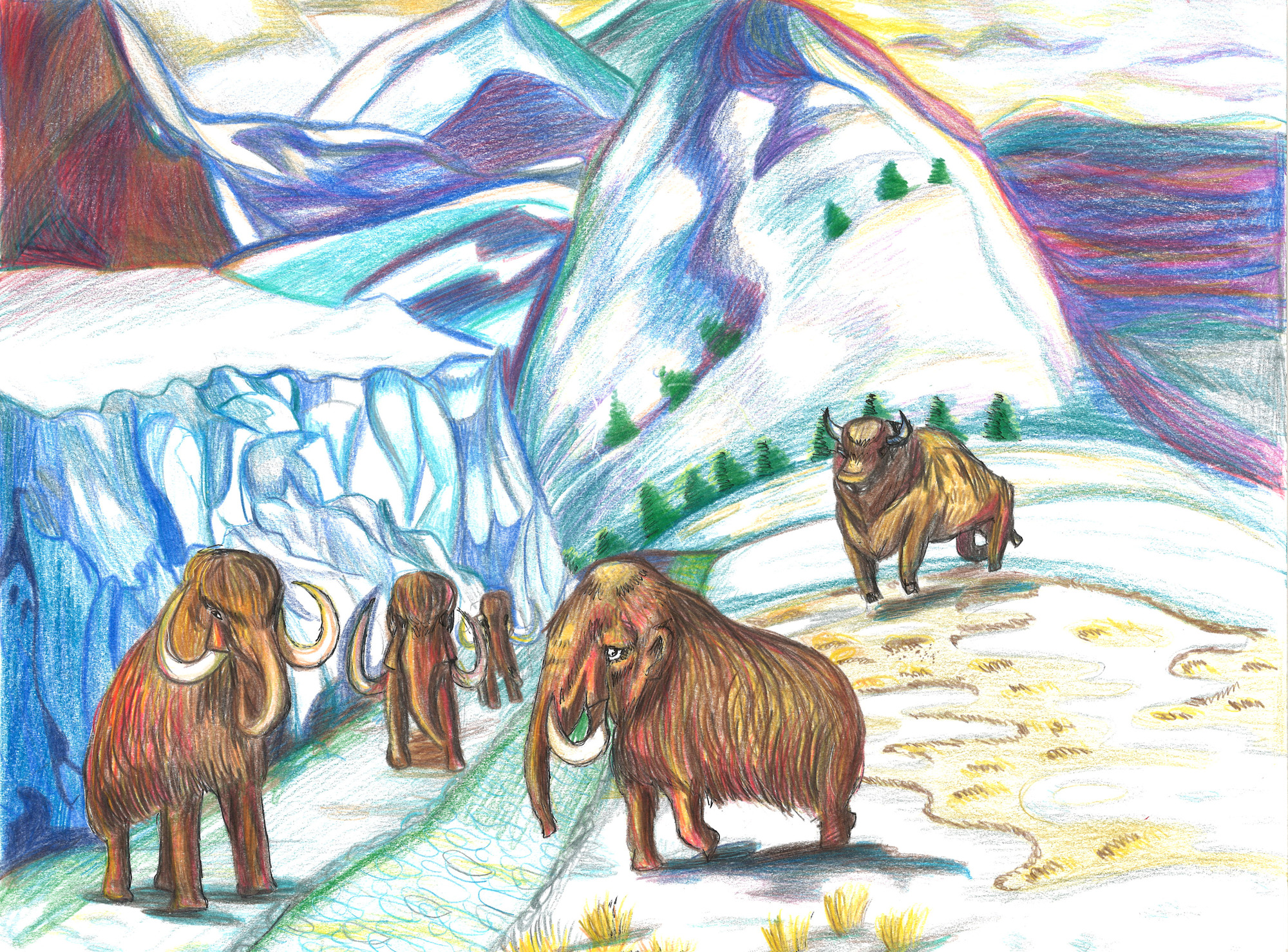 Colored pencil drawing of several wooly mammoths in an ice and snow covered landscape.