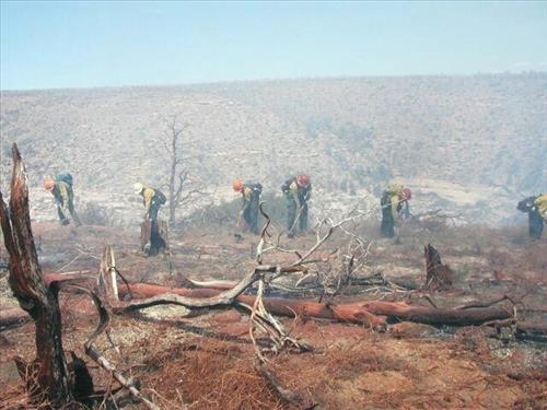Fire fighters working on fire lines during the Long Mesa Fire, Mesa Verde National Park, July-August 2002