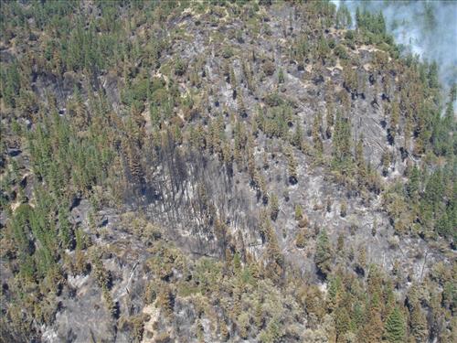 Images of the Comb Complex wildland fire use project taken from park helicopter, Sequoia and Kings Canyon National Parks, summer 2005