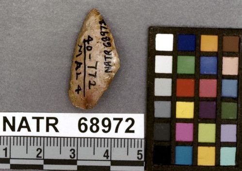 NATR   68972 -- Untyped projectile point