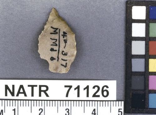 NATR   71126 -- Collins projectile point