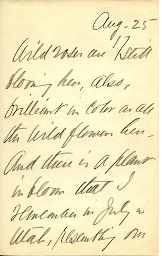 Journal, Dorr, August 25 p.17