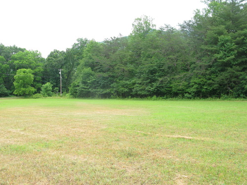 GRSM Accuracy Assessment. Plot Code: GRSM_AA_0896_3