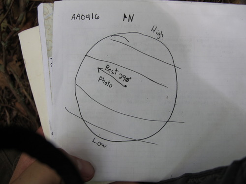 GRSM Accuracy Assessment. Plot Code: GRSM_AA_0916_7