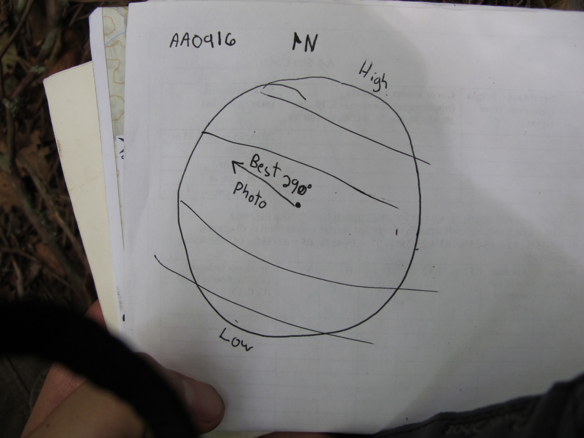GRSM Accuracy Assessment. Plot Code: GRSM_AA_0916_7