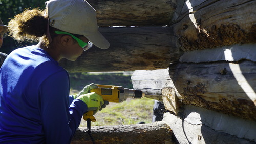 A girl drilling into a log.