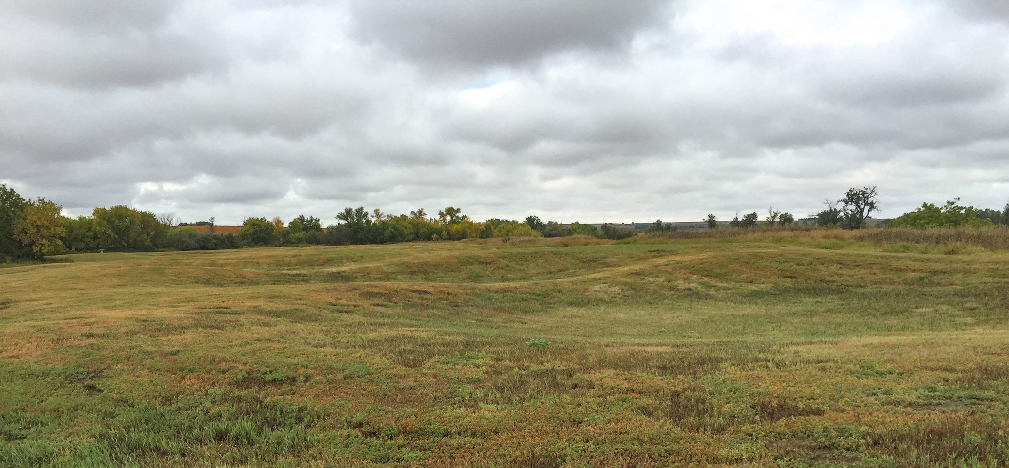 Field with circular impressions of earthlodges 
