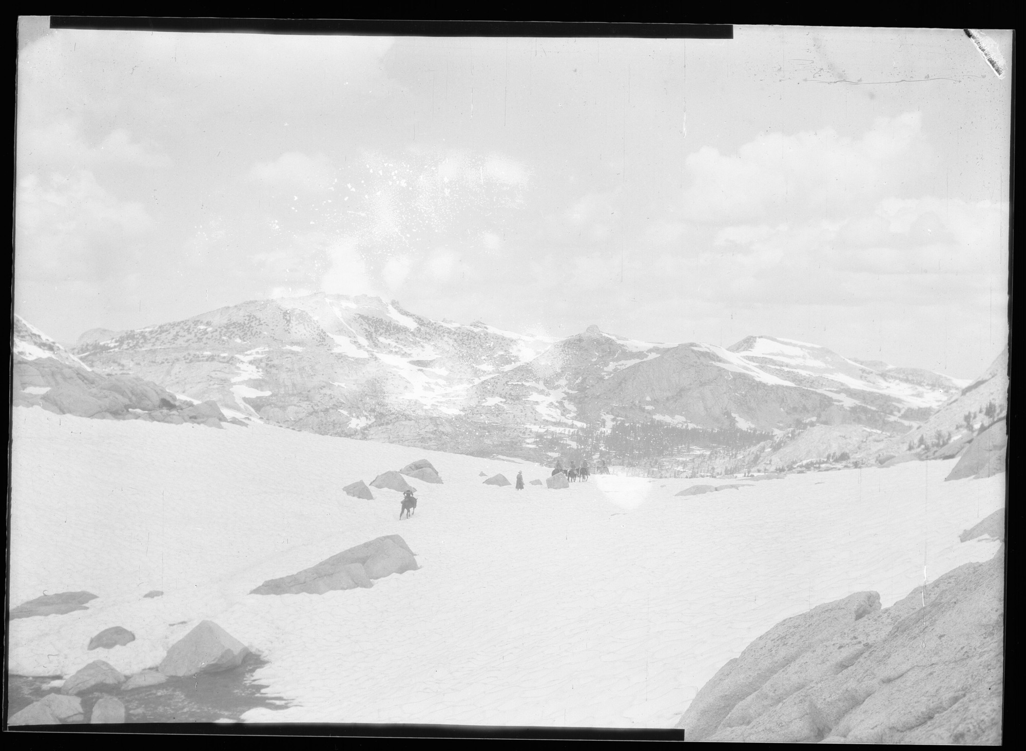 Horses crossing snow, looking north from Vogelsang Pass. Yosemite Park, Cal.