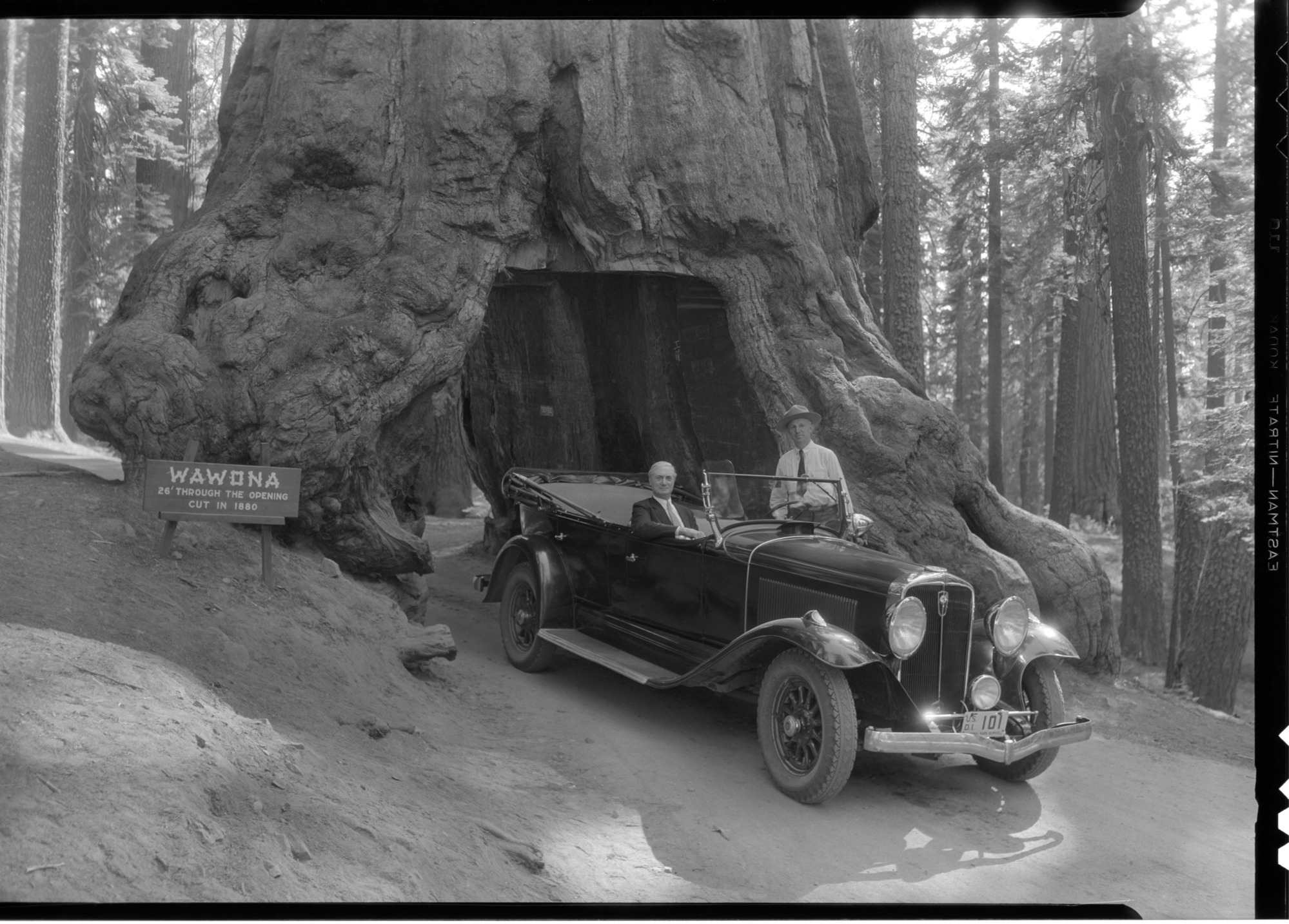 Secretary Walter (Assist. Sec. of Interior) with Bert Harwell.