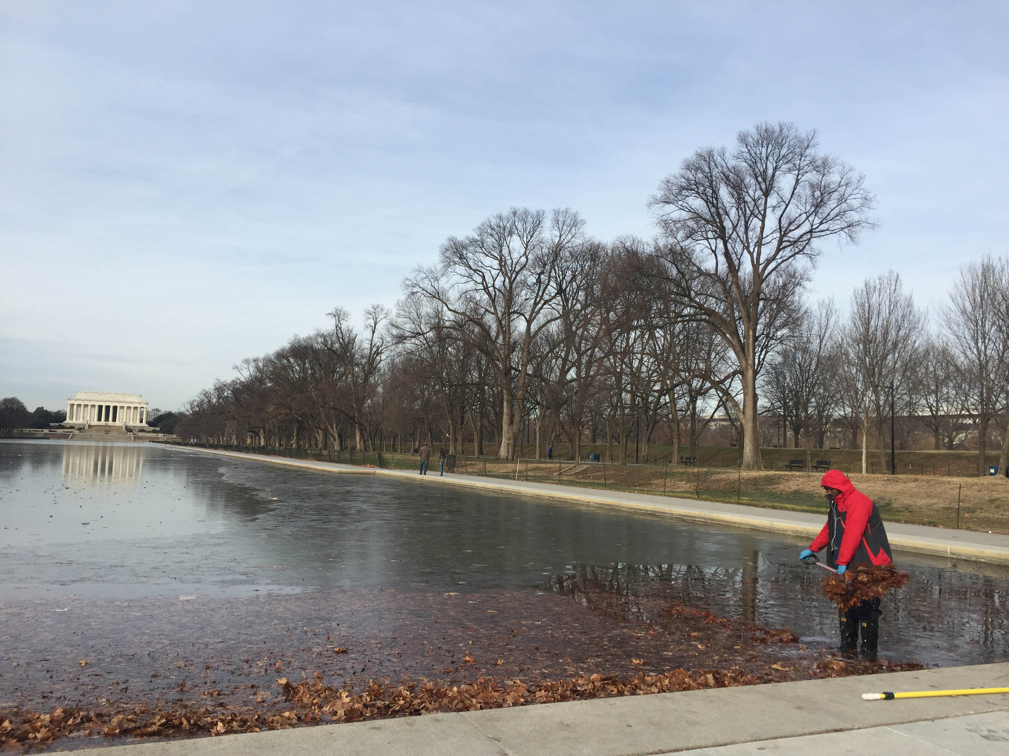 Person cleaning leaves out of the Reflecting Pool with a shovel 