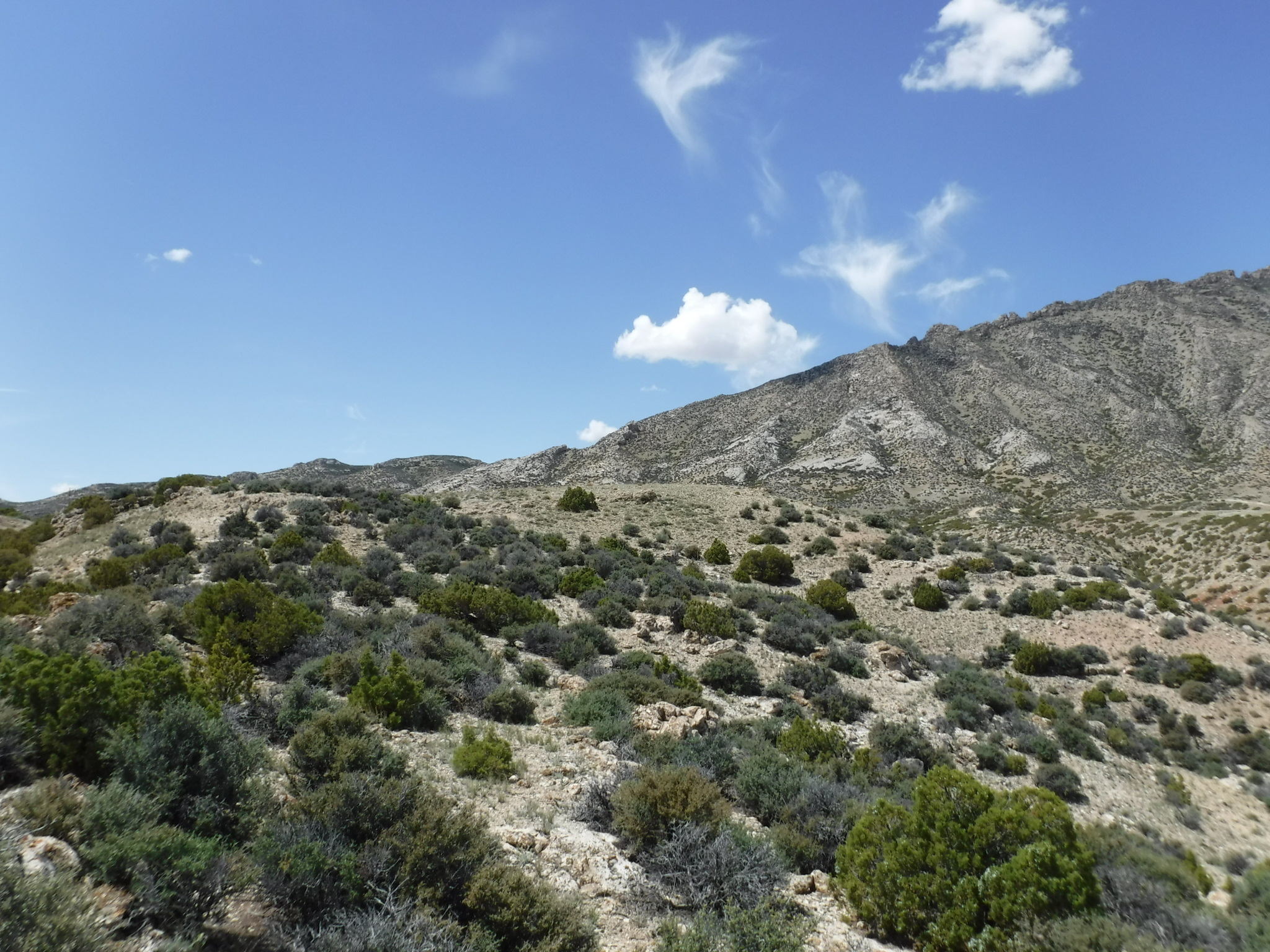 Image of the vegetation and landscape at photo point in Bighorn Canyon NRA 