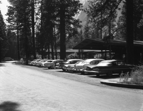 Yosemite Lodge, Yosemite Valley.
