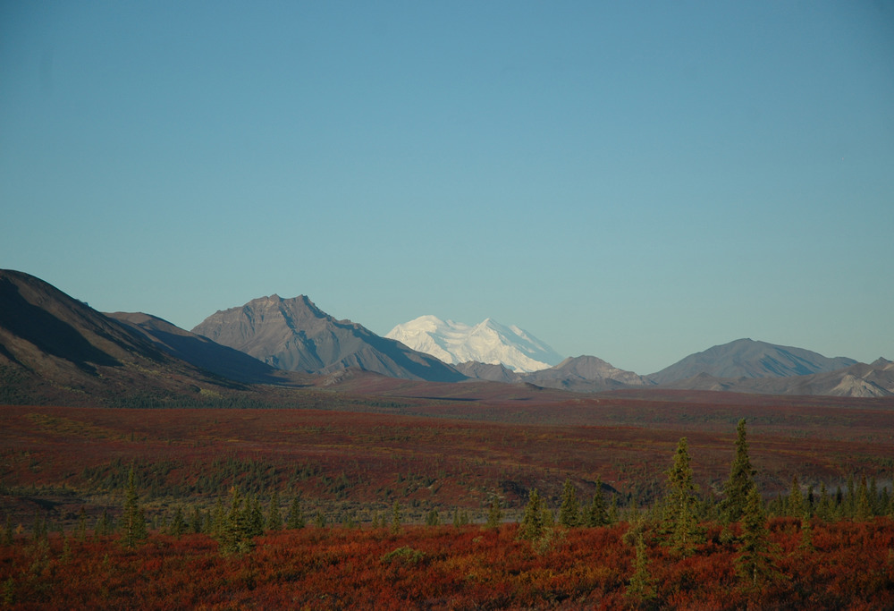 Landscape of red bushes, brown mountains, and one particularly huge snowy mountain