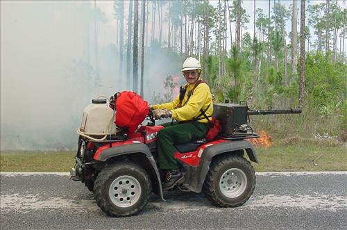 Firefighters on prescribed burns in Everglades NP 2003
