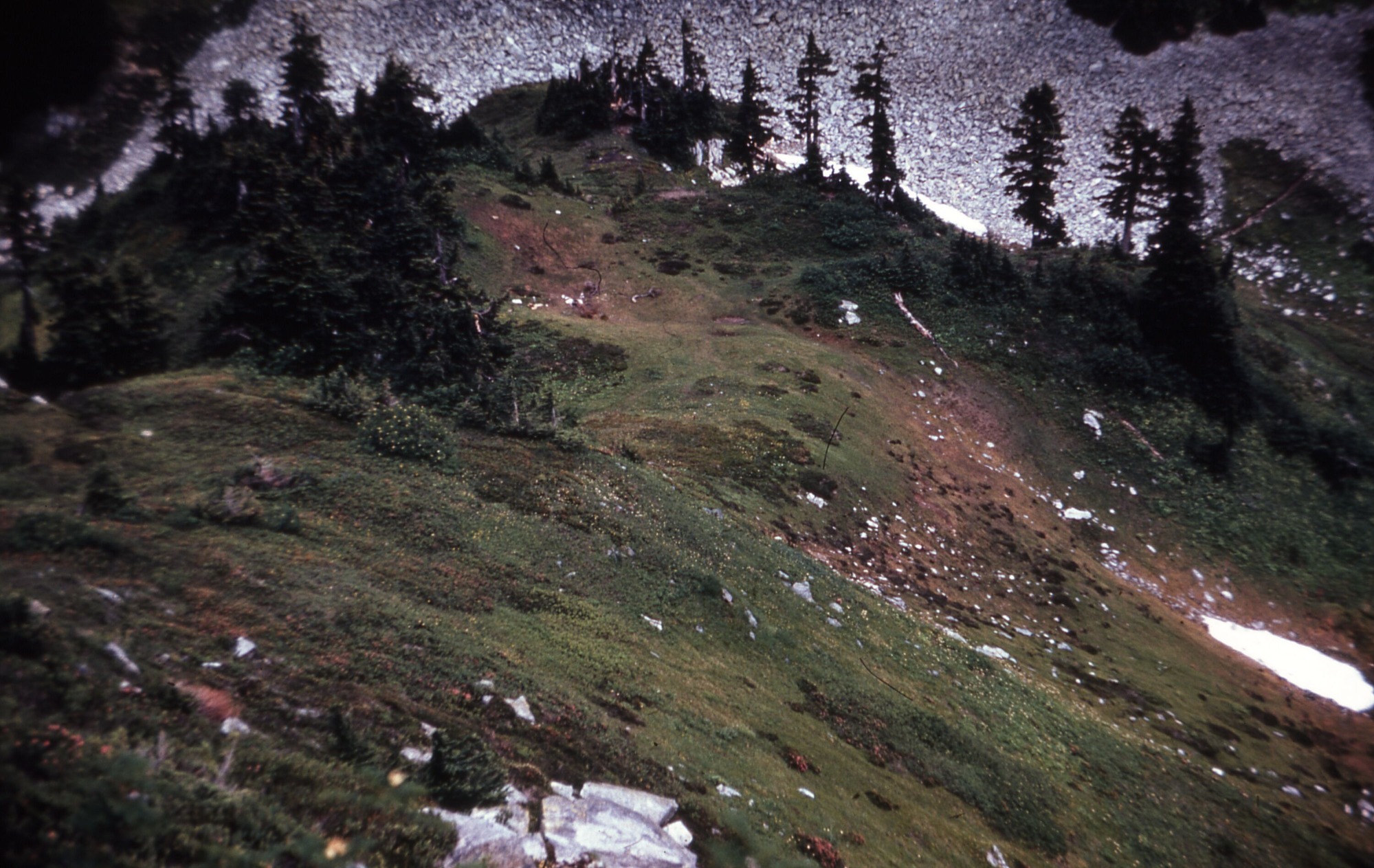 A view down a slope of gentle grassy hills with shrubs, wildflowers, and trees. At the bottom is a pit of stones.