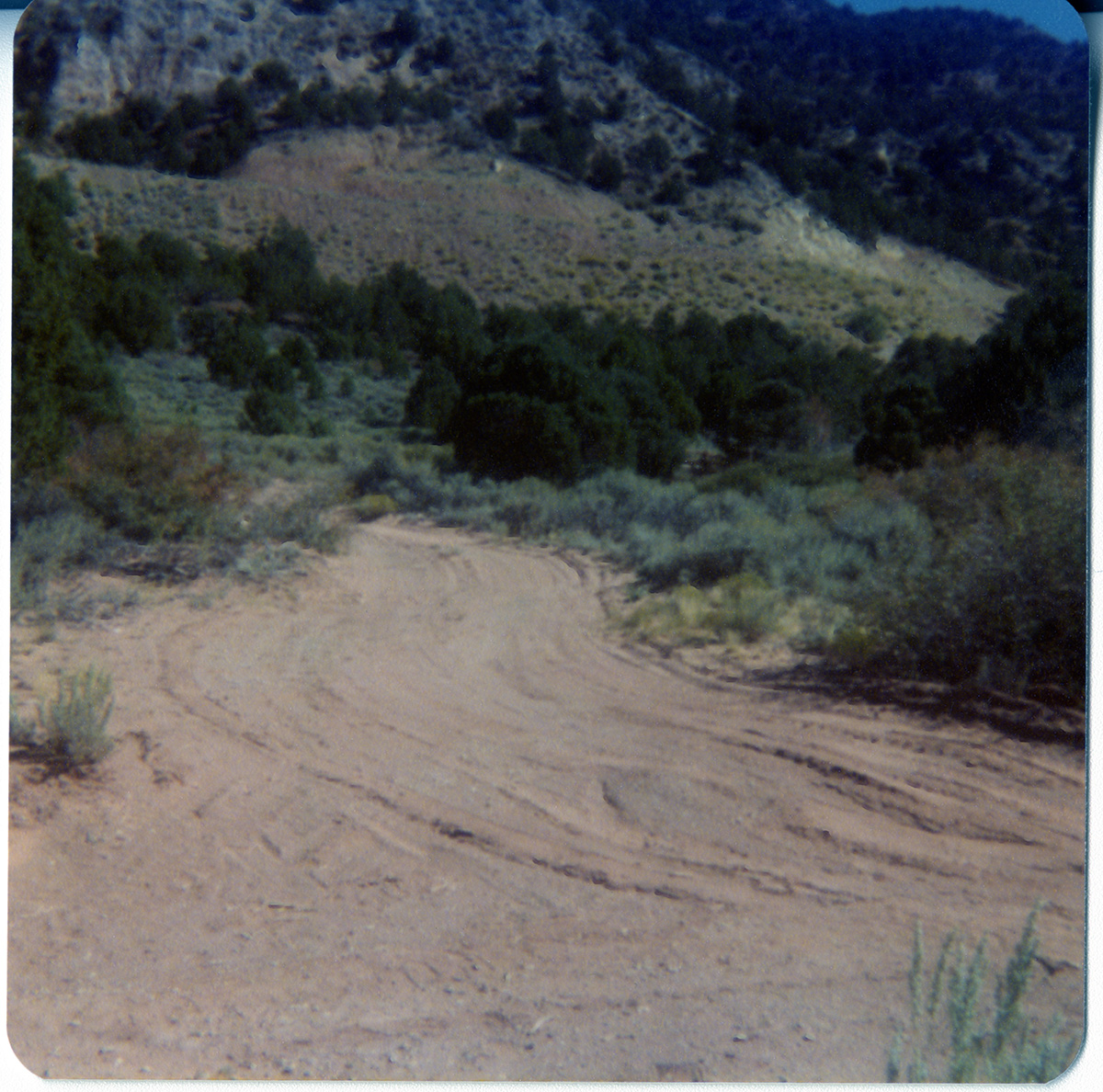 Dirt road and landscape in Kolob Canyon.