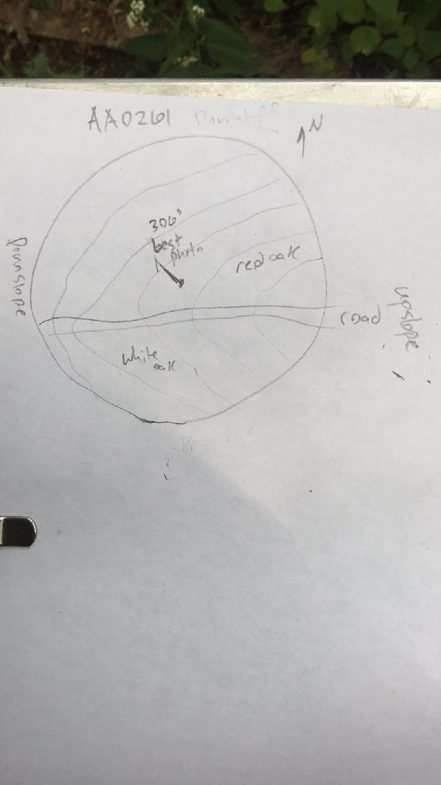 GRSM Accuracy Assessment. Plot Code: GRSM_AA_0261_map