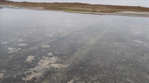tidal flat disturbance PAIS