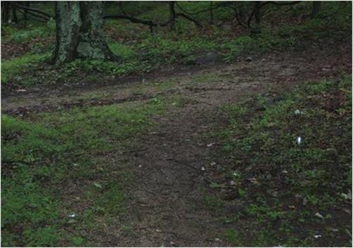 Peaks of Otter Campground