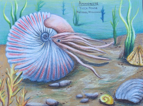 Color pencil artwork of prehistoric life underwater.