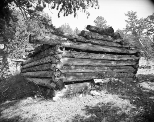 Pioneer cabin along trail to Mono Pass.