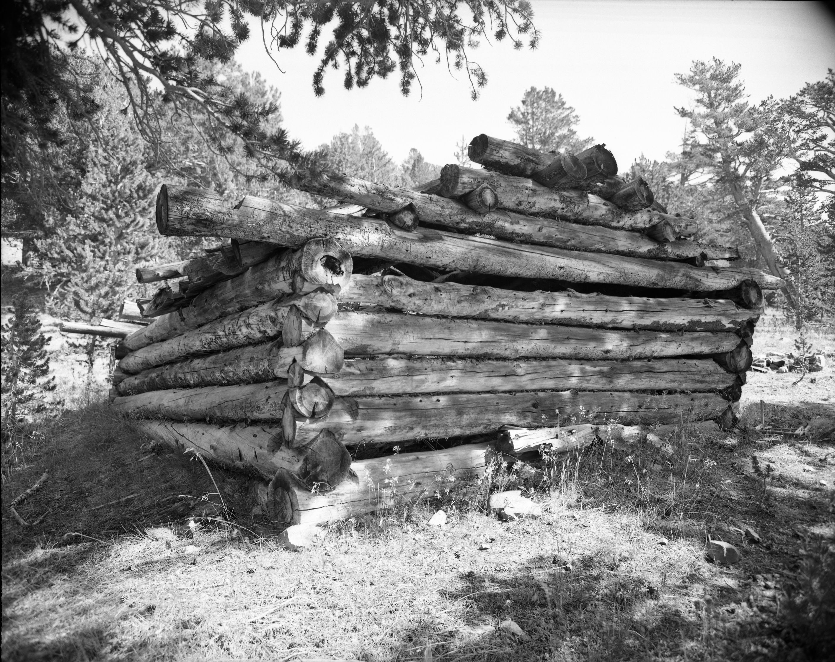 Pioneer cabin along trail to Mono Pass.