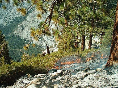 Hot Springs wildfire, Sequoia and Kings Canyon National Parks, summer 2004