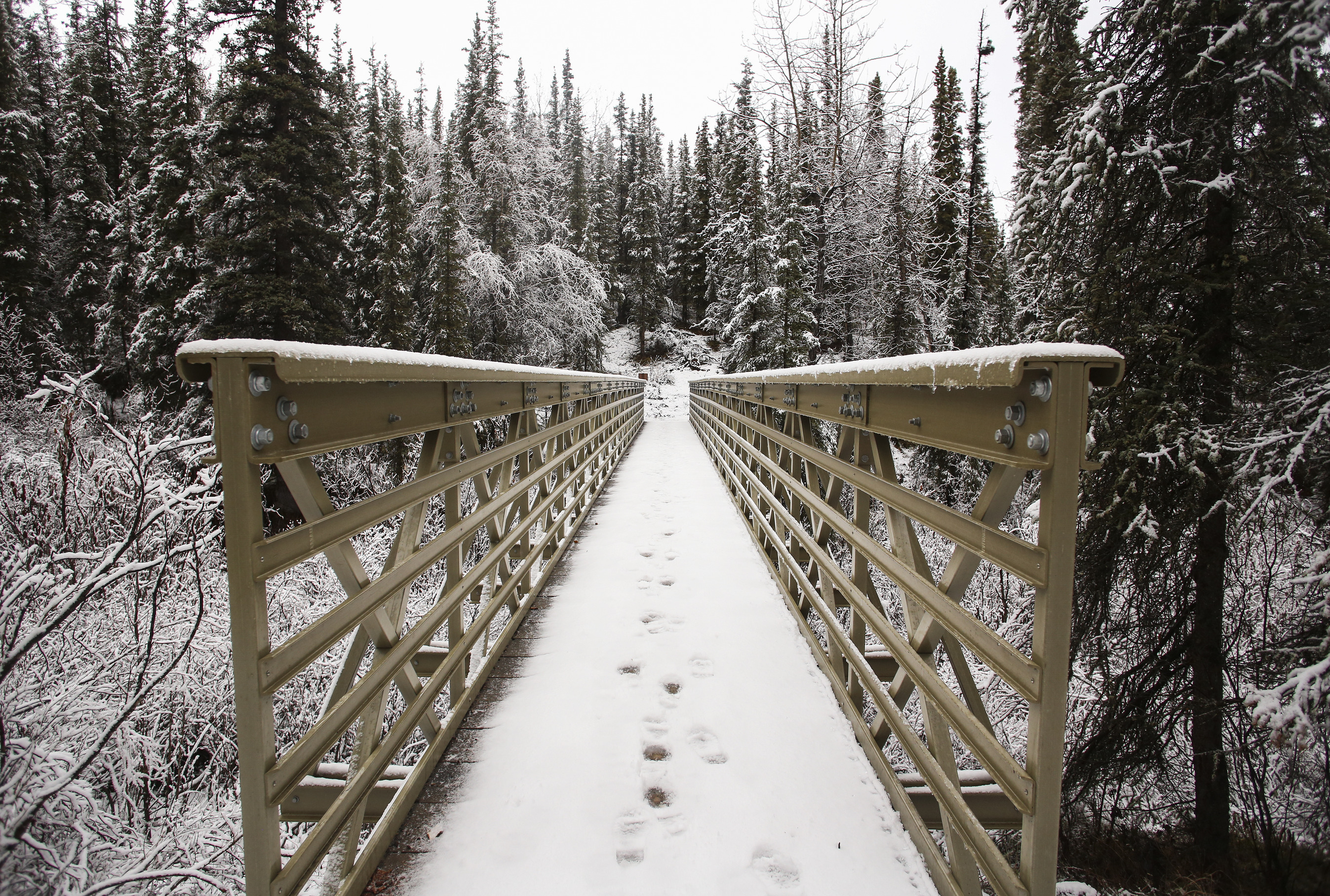 a pedestrian bridge in a snowy forest