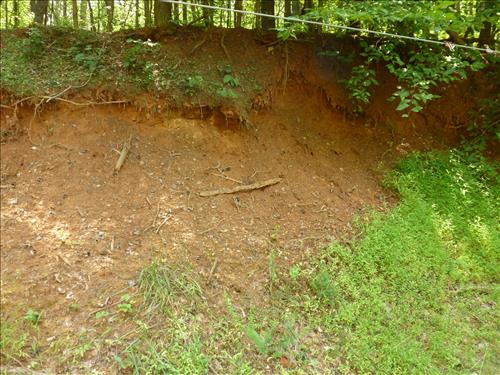 Clean and Restore Lead Contaminated Soil at Firing Range in August 2013