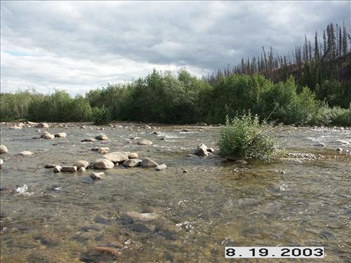 Charley River Water Quality Testing, Yukon-Charley Rivers, 2003 2 II