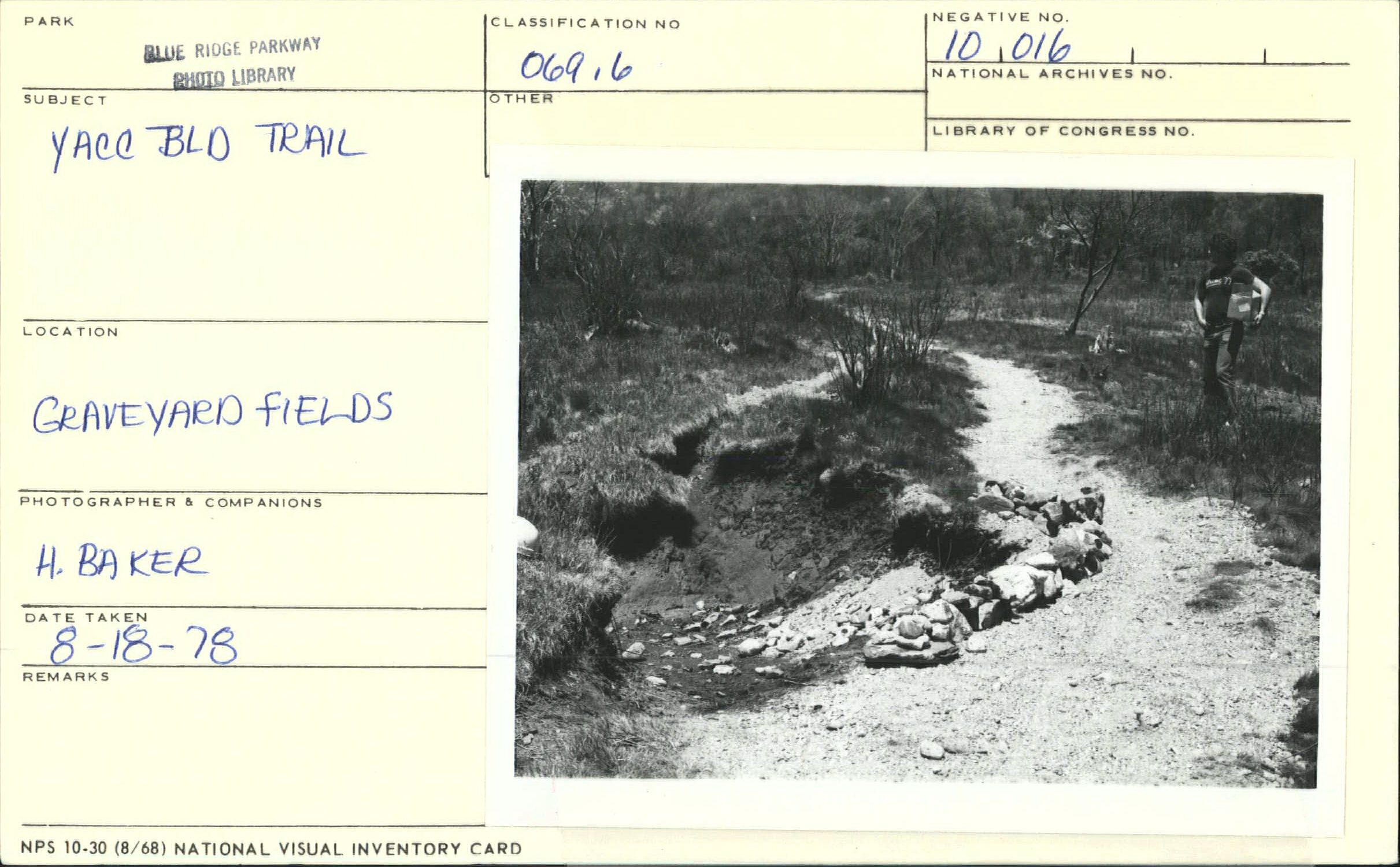 Young Adult Conservation Corps building trail