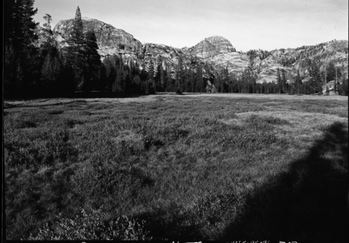 Meadow in Jack Main Canyon south of Wilmer Lake.