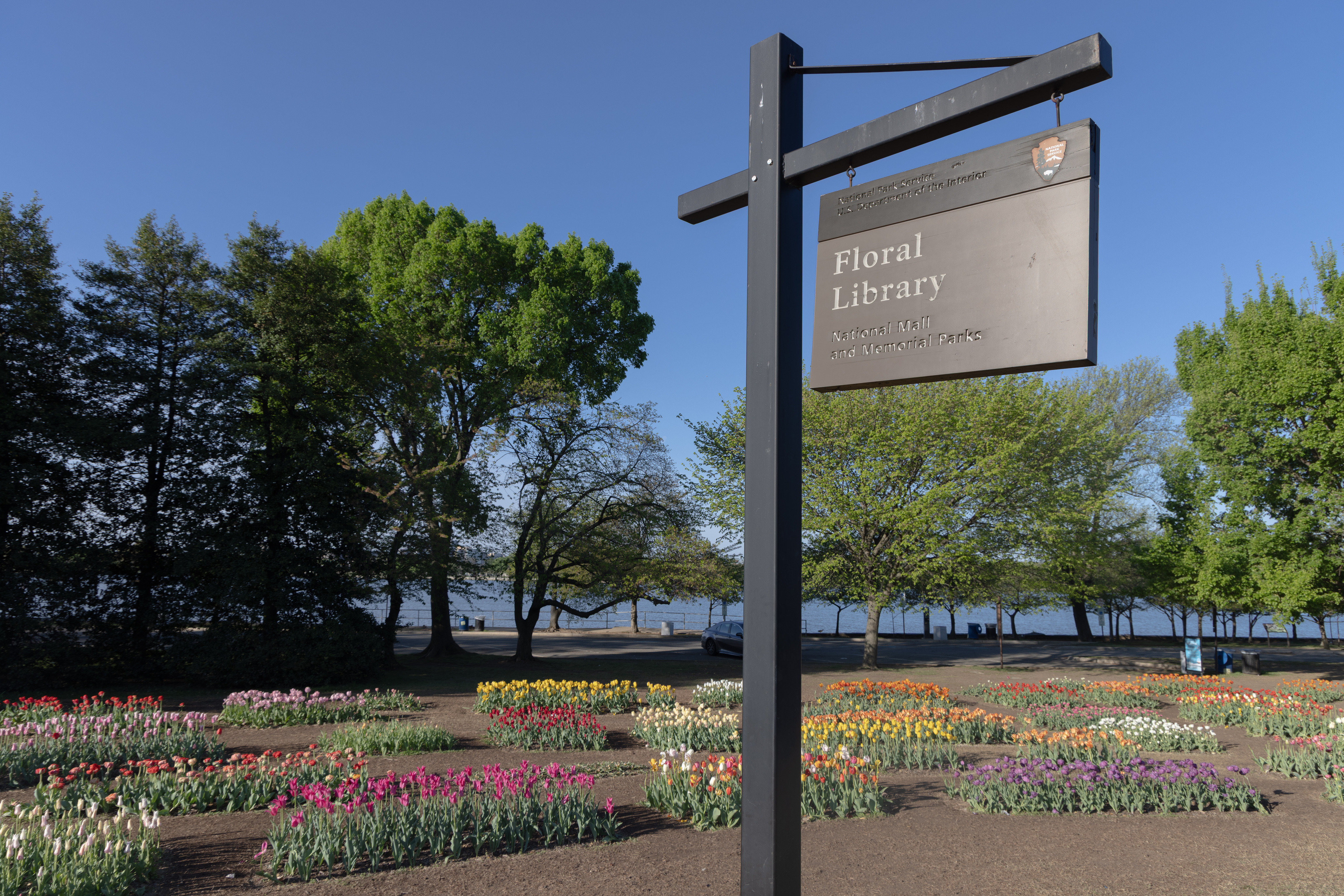Spring Flowers at the Floral Library