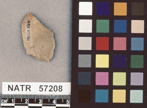 NATR   57208 -- Little Bear Creek projectile point