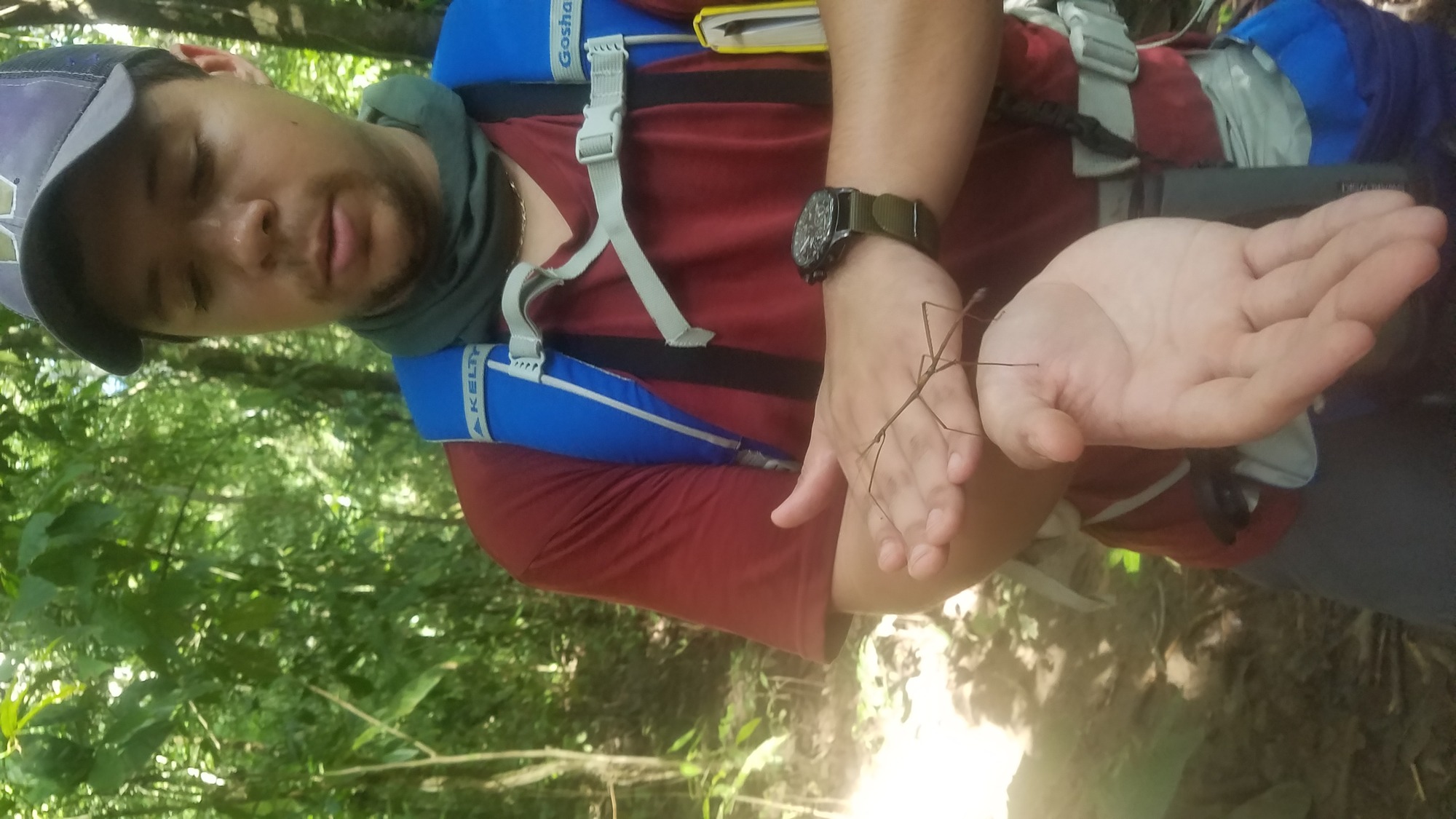 A young man wearing a red shirt and backpack looks down at his hands where a stick bug is crawling. 