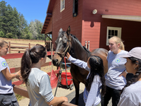  Four teens listen to a park ranger while petting a dark brown horse with white blaze on his forehead, in front of a dark red barn.