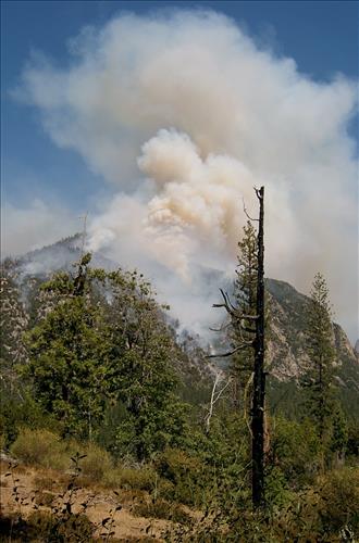 Fire monitors observe fire activity on the Comb Complex wildfire, Sequoia and Kings Canyon National Parks, July 2005