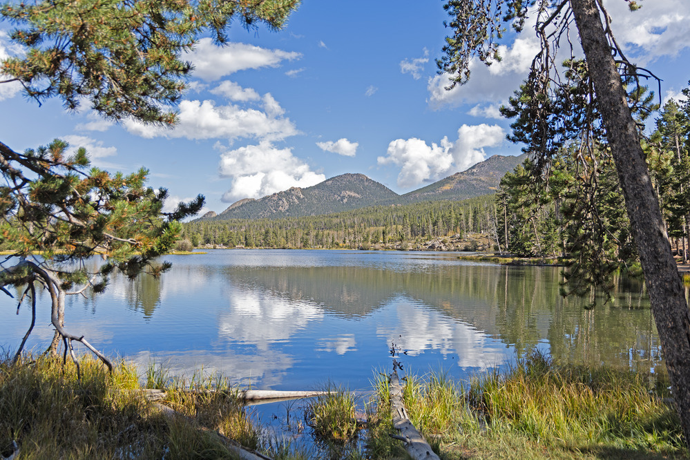 Trail Display (U.S. National Park Service)