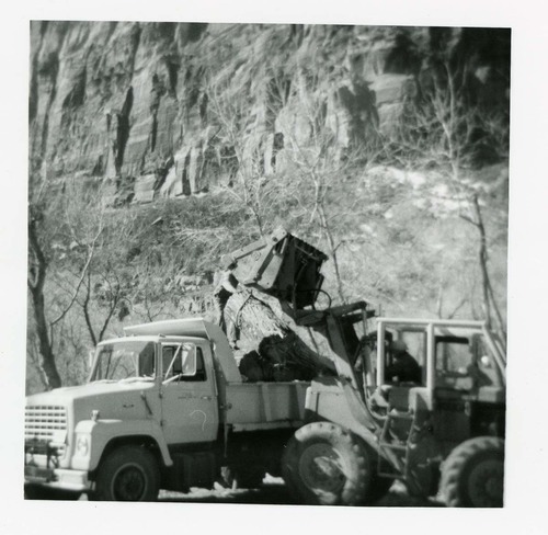 BW photo of the removal of debris from cleaning and/ or pruning.