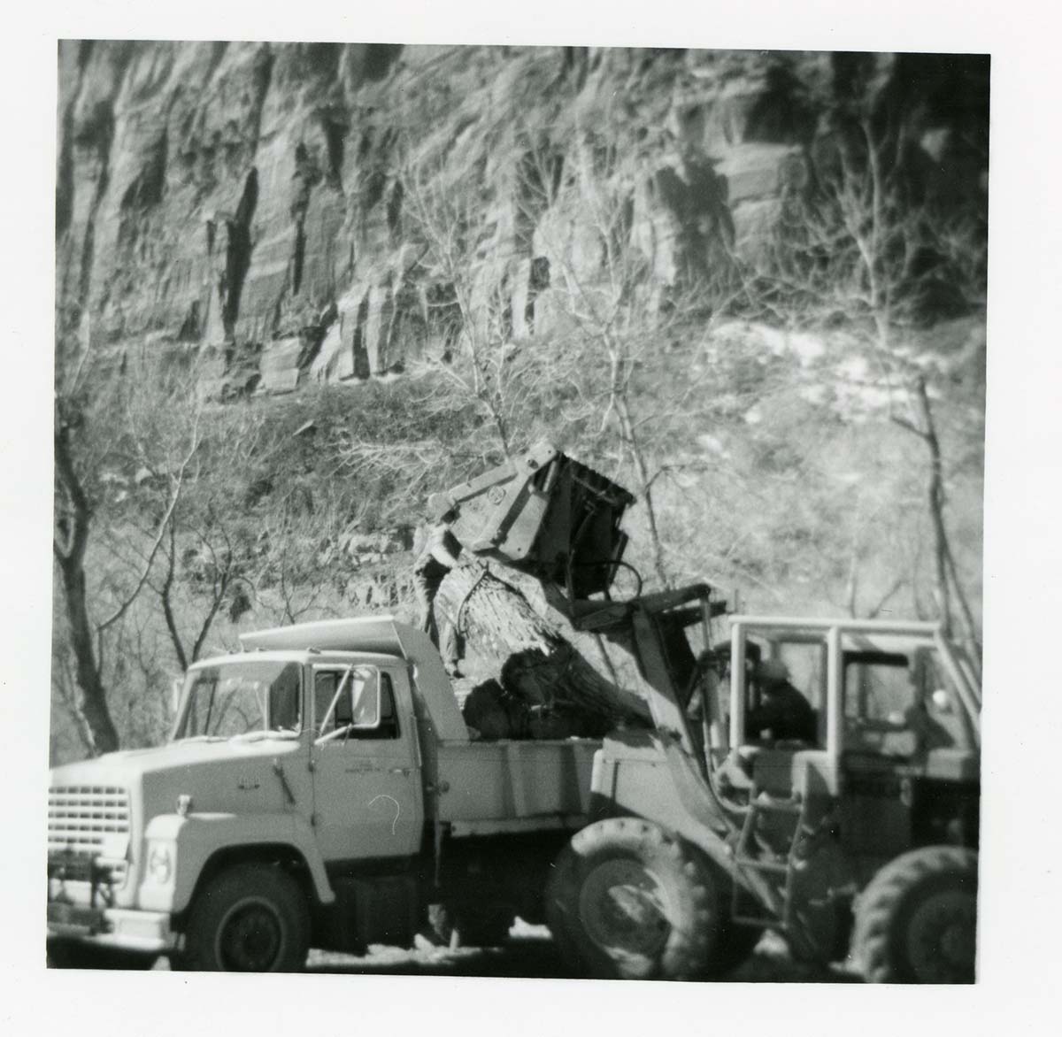 BW photo of the removal of debris from cleaning and/ or pruning.
