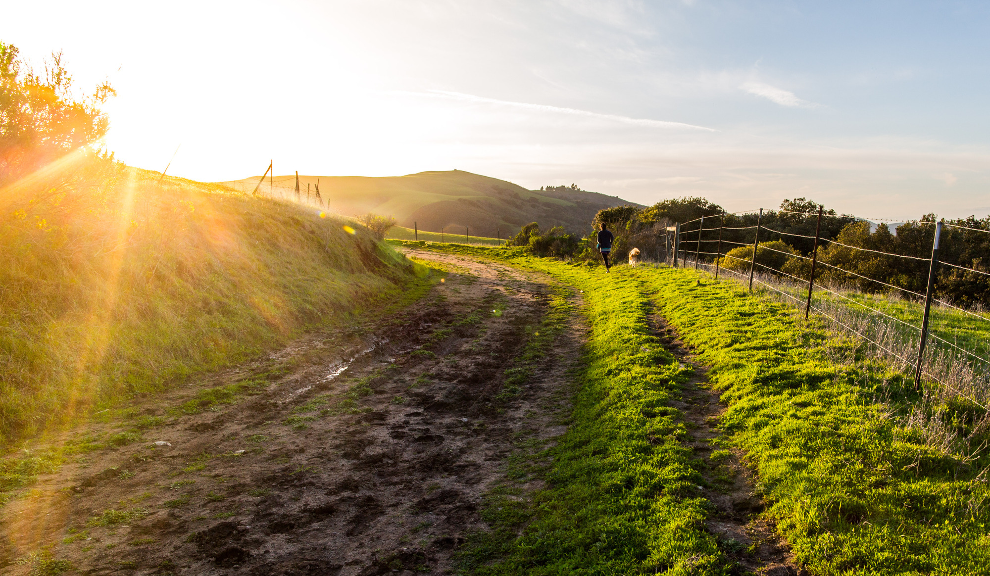 A dirt road winds around a hill where a person walks their dog while the sun sets
