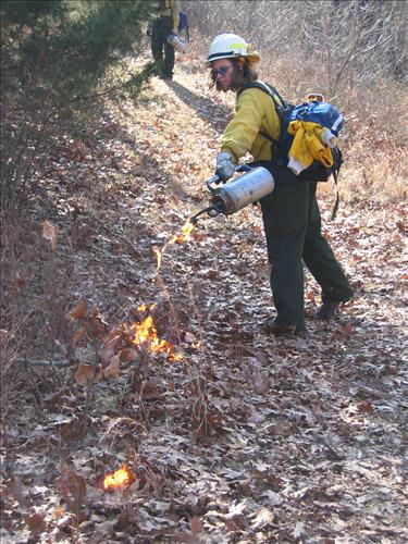 Prescribed burning at Buffalo National River